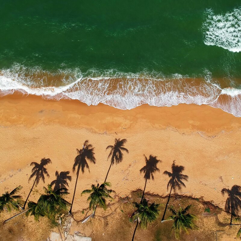 Morocco surf lessons and experiences